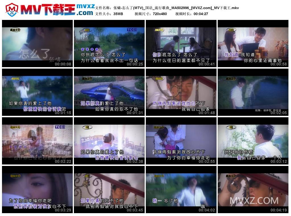 张啸-怎么了(MTV)_国语_流行歌曲_MA502996